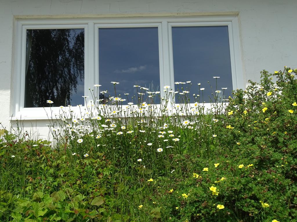 Landhaus Waldrand Biersdorf am See Екстер'єр фото